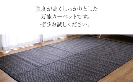 ＰＰカーペットバルカンＢＲ江戸間3畳（174×261） おすすめ 福岡県 大木町 AA350