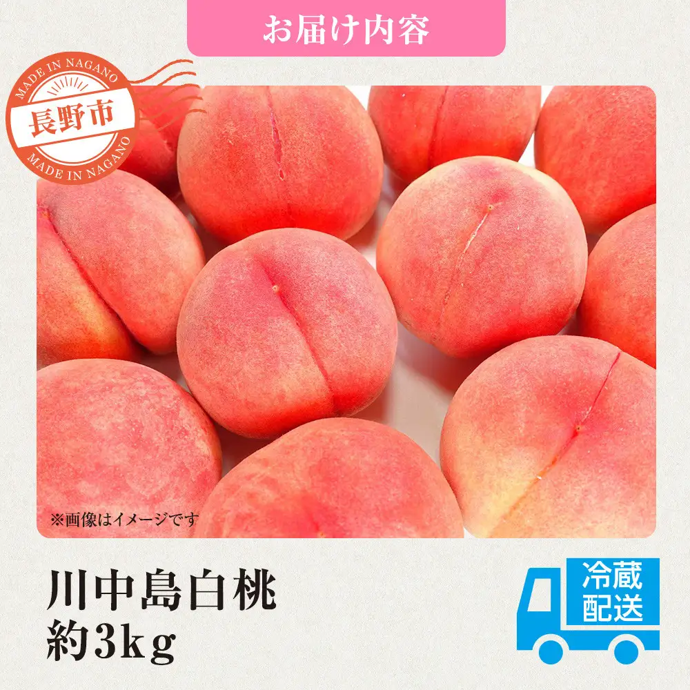 前島農家 川中島白桃約3kg（8個～12個） | 桃 フルーツ 旬