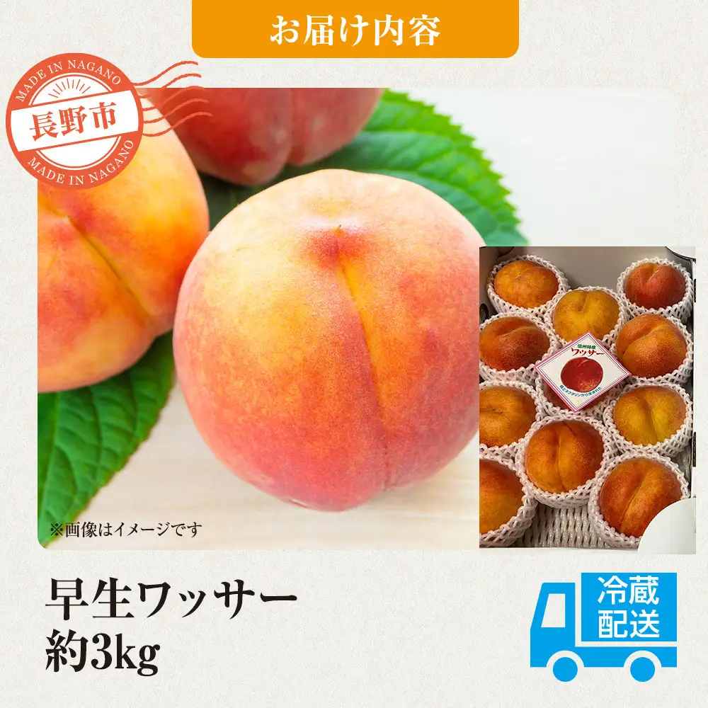 前島農家 早生ワッサー約3kg（12個～13個） | 桃 フルーツ 旬 桃