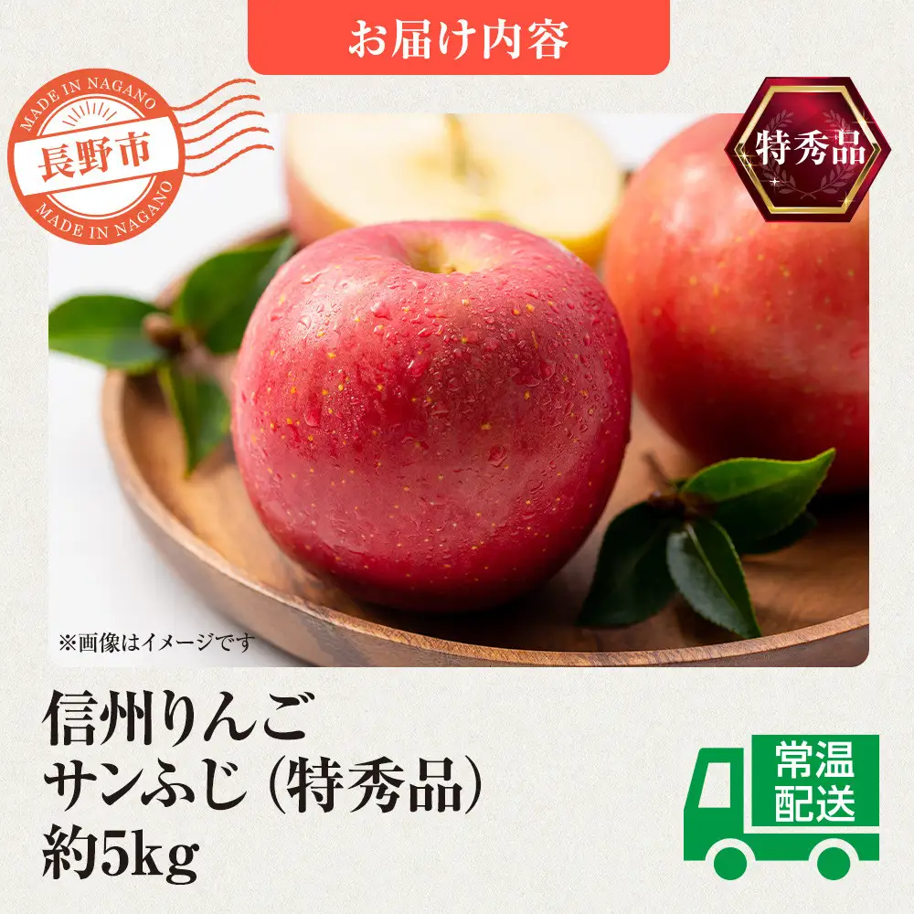 前島農家 信州りんご・サンふじ（特秀品）約5kg（12個～18個） | りんご