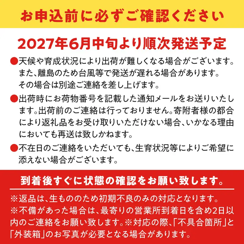 【2027年先行予約】竹マンゴーファーム 贈答用パッションフルーツ（12個入り） C039-002 パッションフルーツ パッション