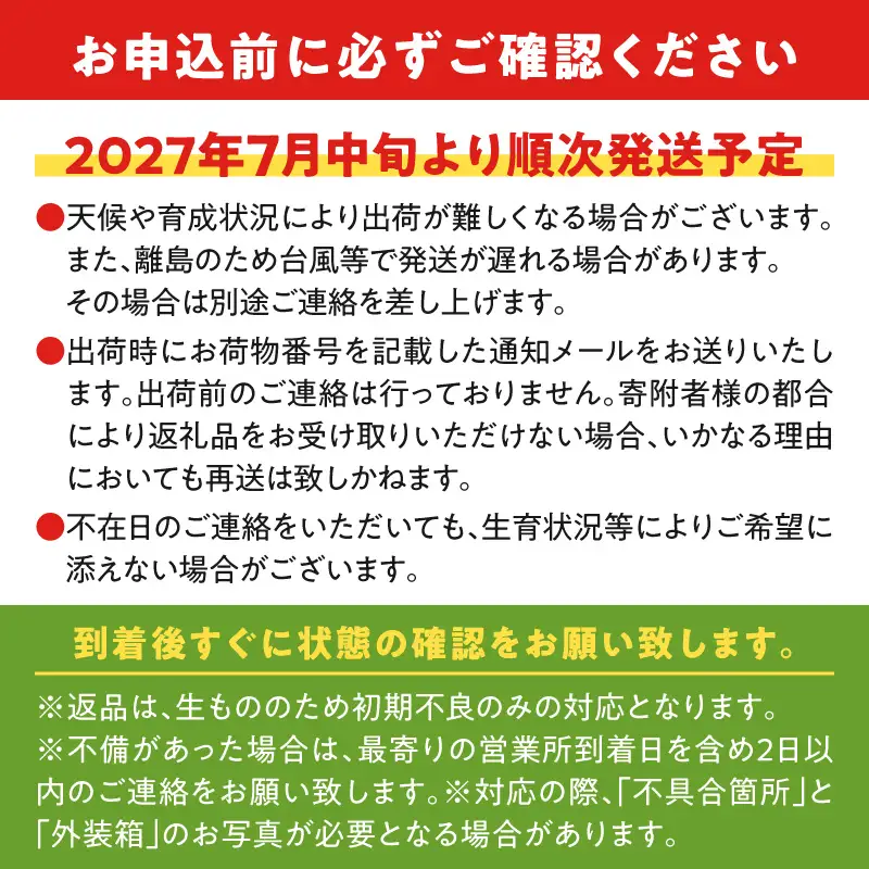 【 2027年先行予約 】竹マンゴーファームのプレミアム完熟マンゴー1キロ（大玉2個入り） C039-003 マンゴー 完熟マンゴー