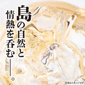 をちみづ 25度 900ml 2本 C047-011-02 酒 アルコール 焼酎 黒糖焼酎
