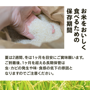 【 新米予約 】新米 令和8年産 コシヒカリ 20kg 白米 特別栽培米