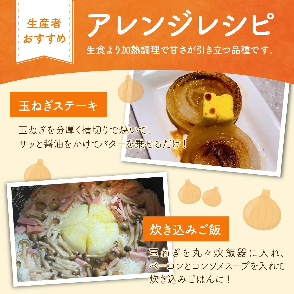 【 先行予約 / 7月上旬より発送】 福井県産 玉ねぎ ケルたま 10kg / 野菜 やさい タマネギ / 小浜市 たまねぎ / 今富の宝 [BFCI001] 
