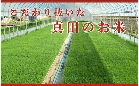 米 令和7年産 定期便 3ヵ月 コシヒカリ 関口さんちのお米 3kg お米 白米 ブランド米 定期 3回