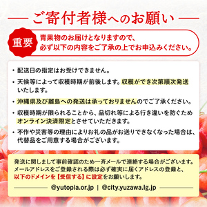 三関産さくらんぼ「佐藤錦」600g 秀2L さくらんぼ 秋田県産 小分け さくらんぼ 佐藤錦 さくらんぼ バラ詰め さくらんぼ フルーツ さくらんぼ【奥山果樹園】[B67-7801]