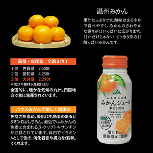 ふるさとの味 みかんジュース（190g×30本）_2403R