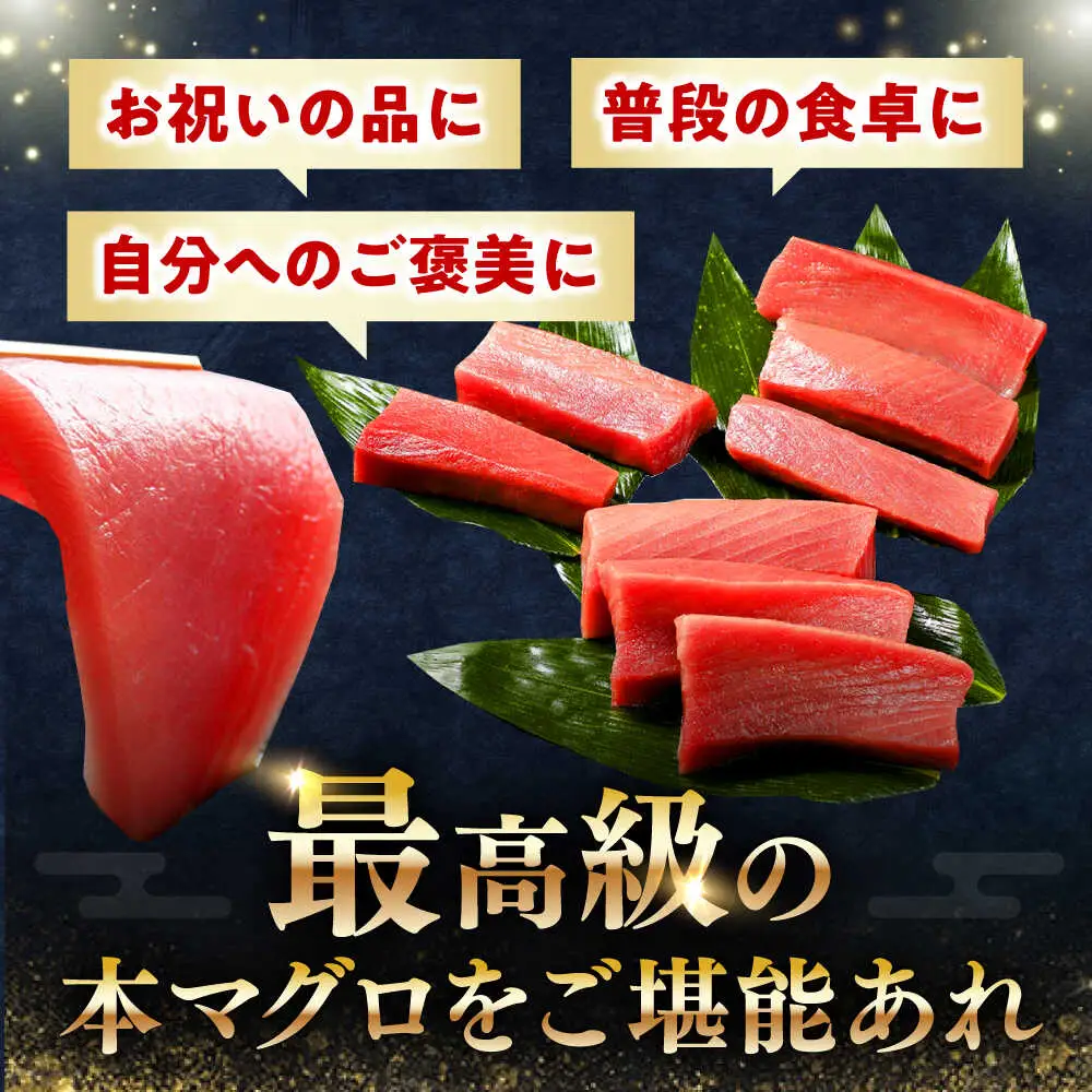【1週間以内発送】対馬産 本マグロ 中トロ 1.2kg(8パック)マグロ まぐろ 本鮪 中とろ [WAH020] スピード発送 最速発送 最短発送