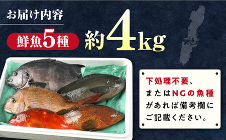 【期間限定！】対馬産 鮮魚 詰め合わせ 5種前後 4.0kg 新鮮 天然 直送 セット [WAH022]