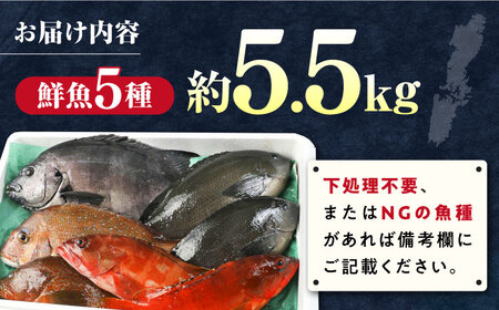【期間限定！】対馬産 鮮魚 詰め合わせ 5種前後 5.5kg 新鮮 天然 直送 セット [WAH023]
