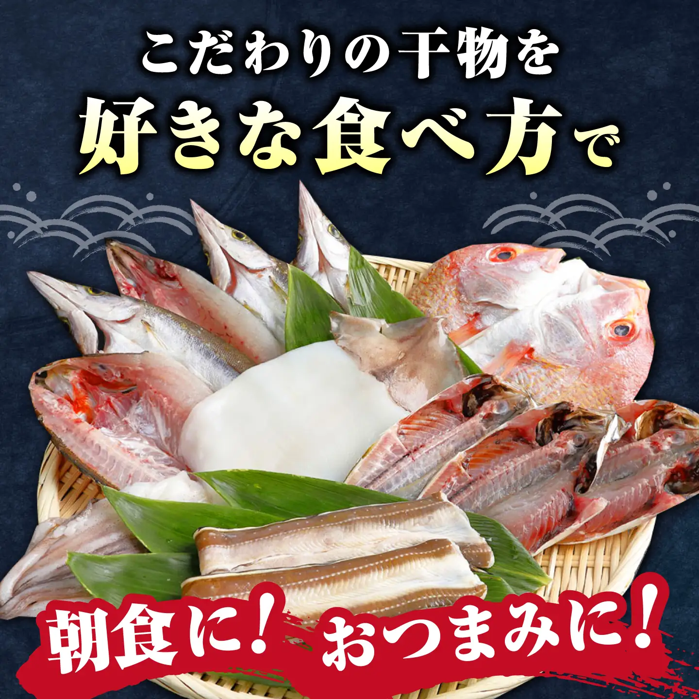 対馬産 旬の地魚 干物 5種 セット 直送 旬 ひもの 朝食 イカ サバ  [WAH024]