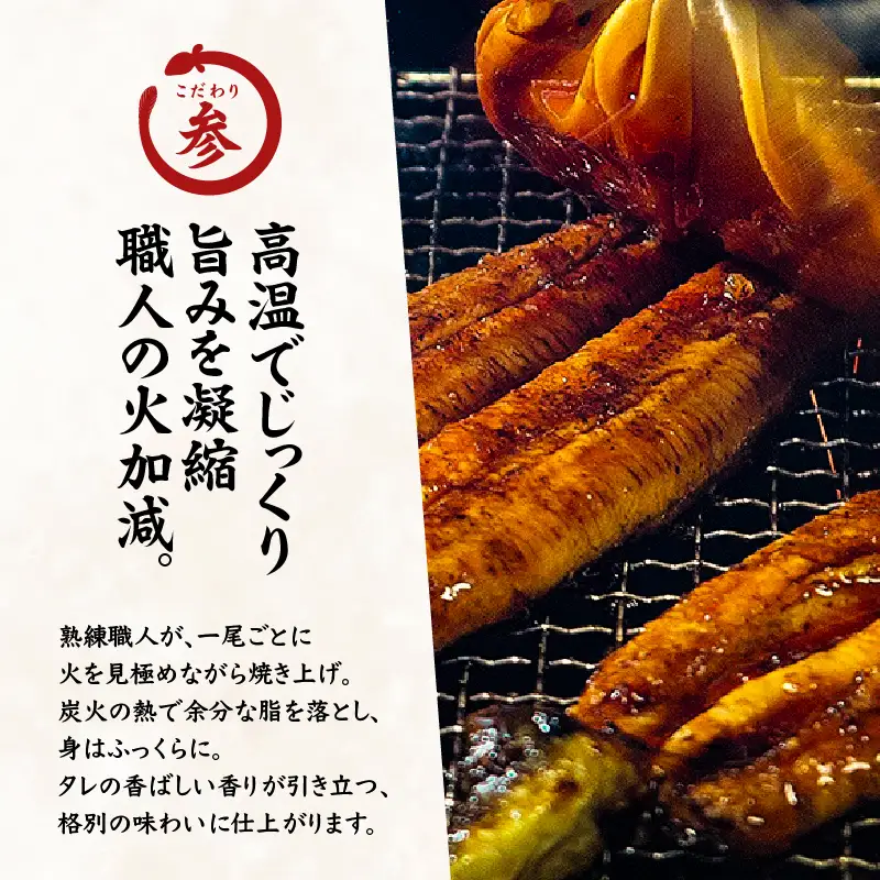 2423 【 期間限定 】 訳あり 備長炭手焼き うなぎ蒲焼 10尾 1,000g KN029-002-02 魚 冷凍 鰻