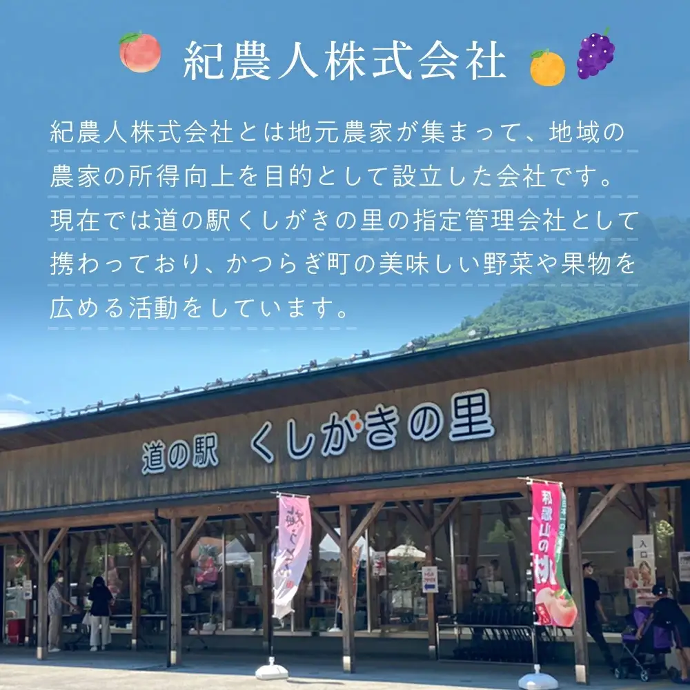 不知火 秀品 数量限定 樹上完熟しらぬい 不知火 約2kg (6個) / みかん ミカン しらぬい 不知火 フルーツ 果物 くだもの 柑橘 産地直送 和歌山【2027年2月末～3月末頃に順次発送予定（お届け日指定不可）】【kgr005】