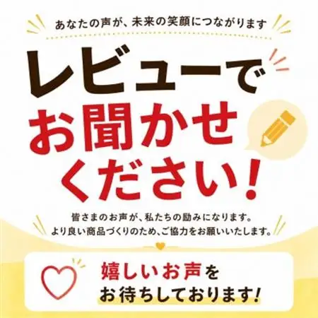 【2027年7月から順次発送・化粧箱】JAおきなわ厳選のアップルマンゴー1kg(2～3玉)【配送不可地域：離島】【1494042】