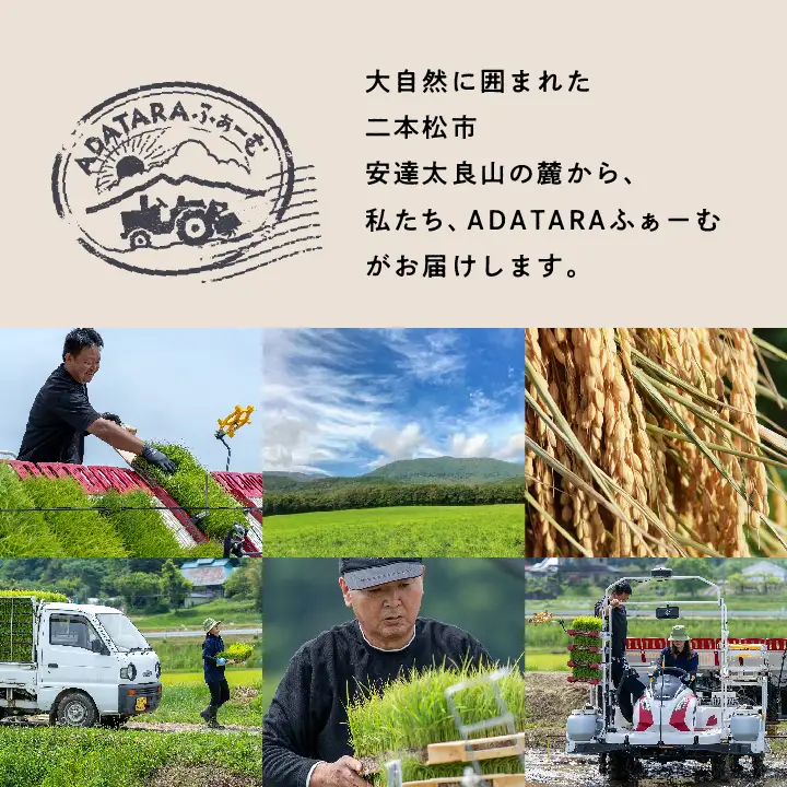 米 令和7年産 コシヒカリ精米5kg【ADATARAふぁーむ】