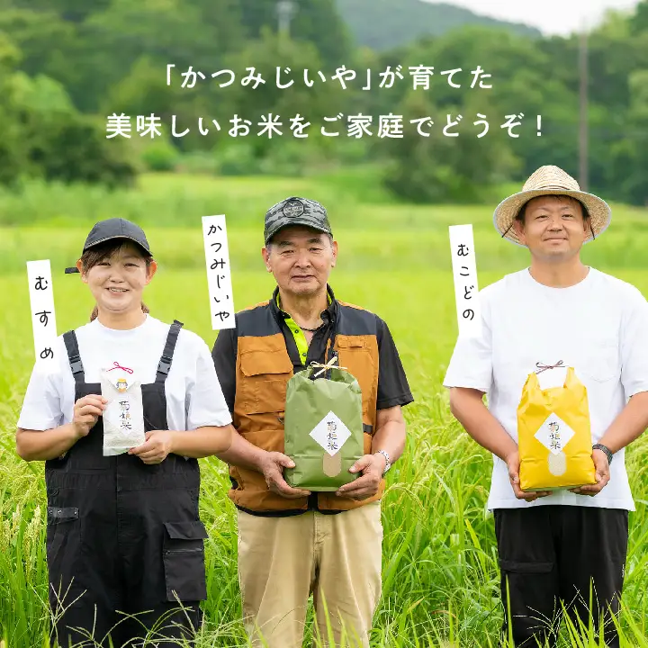 米 令和7年産 コシヒカリ精米10kg（5kg×2袋）【ADATARAふぁーむ】