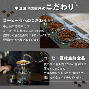 水出しコーヒーパック(30g×4パック) 中山珈琲焙煎所 056-08-01