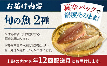 【12回定期便】【冷蔵】【下処理済】鮮魚ボックス2種 五島市/金沢鮮魚[PEP011] 金澤仕立て  鮮魚 冷蔵 真空パック 新鮮 下処理済み 海鮮 刺身 セット