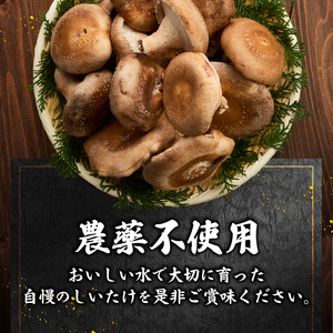『大国しいたけ』菌床しいたけ　1kg 厳選 高級 椎茸 きのこ 肉厚 ジューシー 新鮮 山梨県産 北杜市産 [h122]