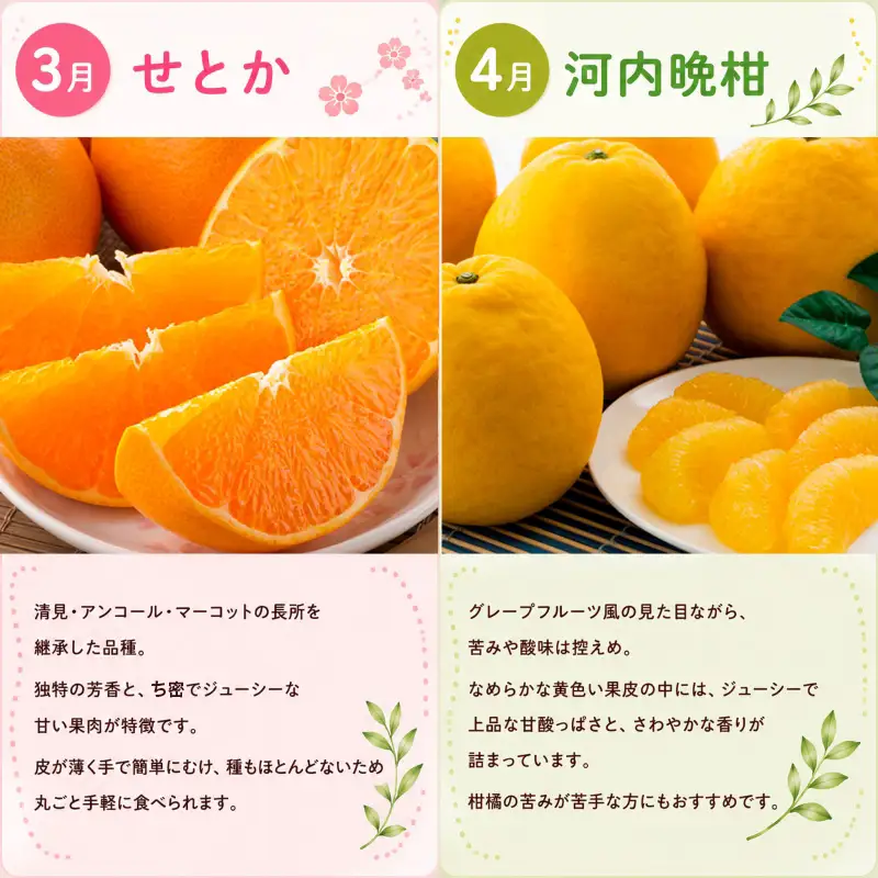 【定期便6回】えひめかんきつ定期便 みかん 紅まどんな 伊予柑 デコポン せとか 河内晩柑 【KBK0112】