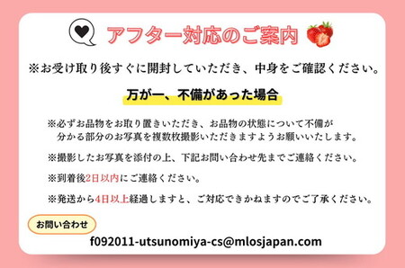 【先行予約】＜いちご3か月定期便＞栃木県産とちおとめ320g×2パック 3Lサイズ 3回｜ アフター対応あり いちご ※2027年1月～発送