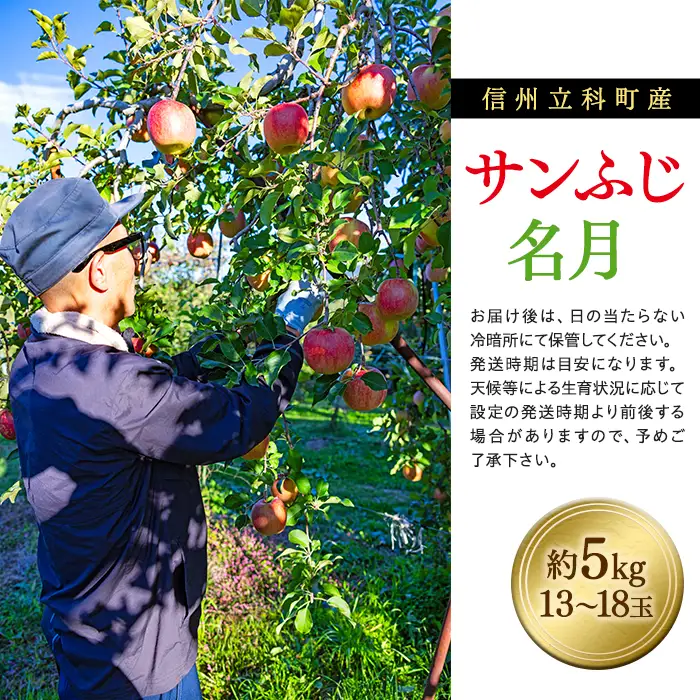 サンふじ・ぐんま名月ミックス（約５㎏、優13～18玉）　