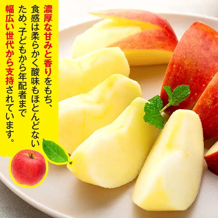 シナノスイート(約5㎏、優14～18玉)　