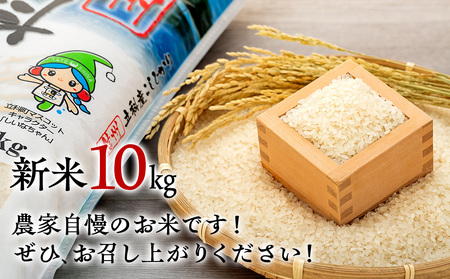 【令和8年11月発送】 信州立科産 コシヒカリ 10㎏×1袋 (令和8年産新米)