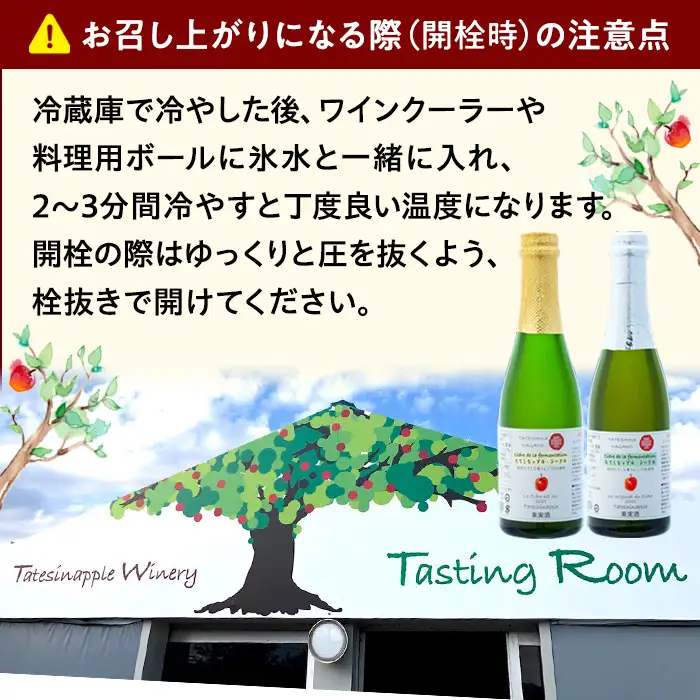シードル　375mlツインセット（発泡りんご酒）