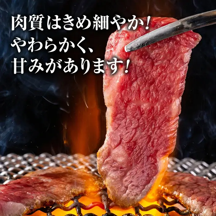 蓼科牛焼肉120g×4パック（バラ・モモ各2パック）