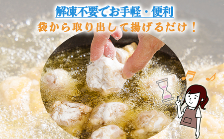 《冷めてもおいしい！》九州産の若鶏の大きな唐揚げ3.0kg(500g×6袋)  TF0775-P00064