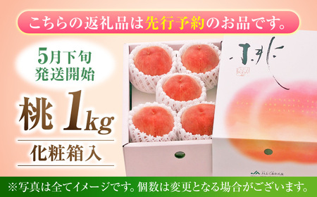 桃 1kg 化粧箱入り【先行予約2027年5月下旬より発送】[AFAB011] 桃 果物
