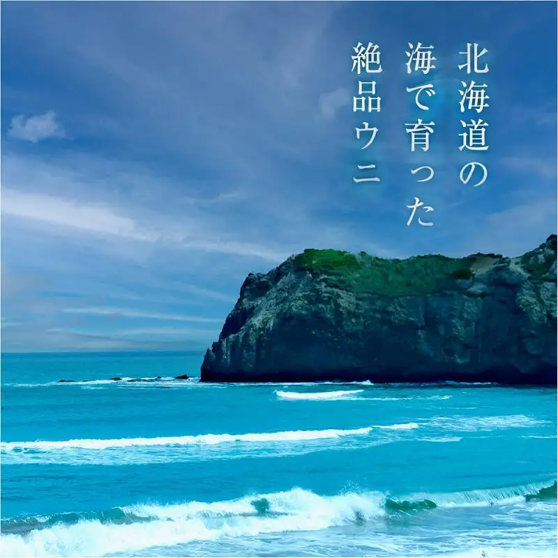 幸雲丹80g×3_Y038-0115
