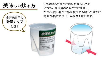 【 令和6年産・10月下旬発送 】【 金芽米 】 つくばみらい市産 コシヒカリ 5kg × 2袋 ( 計 10kg )  金芽米 きんめまい 米 お米 無洗米 茨城県 カロリーオフ 低カロリー 東洋ライス 節水 時短 アウトドア キャンプ