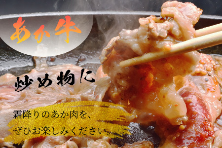 GI認証 【 くまもとあか牛 】特選 すき焼き用 500g あか牛 和牛 牛肉 熊本 ブランド牛 すきやき すき焼 スキヤキ 肉じゃが ごちそう 記念日 国産 お肉 050-0350