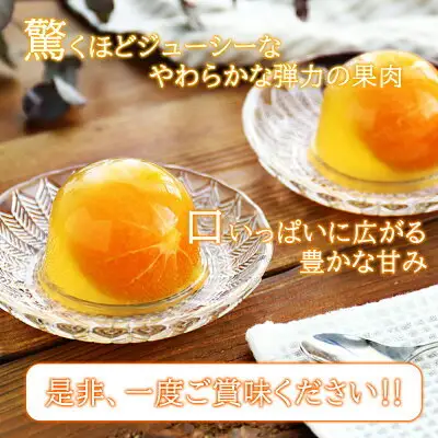 田村みかん フルーツまるごと ゼリー セット (約94g×12個入り)_AY6103