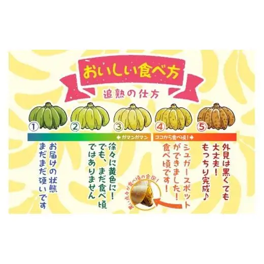 JH009　宮古島産バナナ（1?×定期便3回）【（株）フラモン】