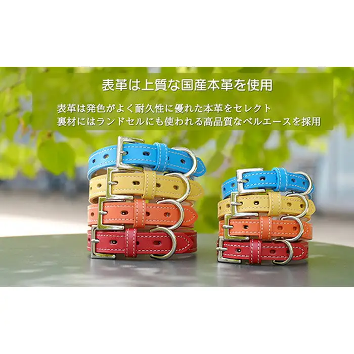 犬首輪 本革製 ペット用品 小型犬 中型犬 犬用品 犬グッズ 犬用首輪 日本製 | 本革 国産人工皮革 ベルエース 耐久性 革職人 愛犬 てるべる 埼玉県 越谷市
