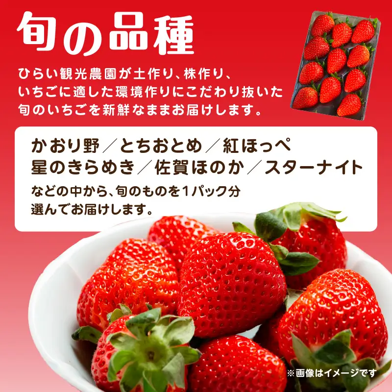 いちご堪能詰め合わせセット 250g×2パック（合計500g）｜2026年12月～順次発送＜ひらい観光農園＞ 065-011