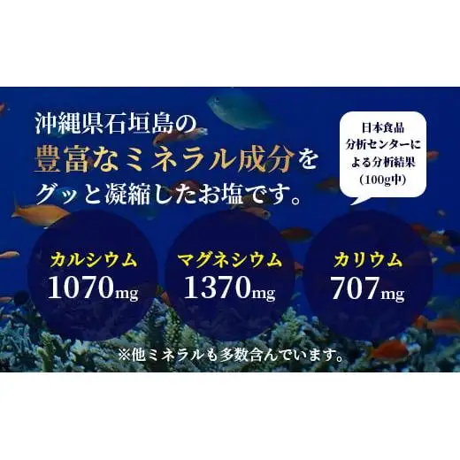 南十字星の星塩 100g 　NY-3