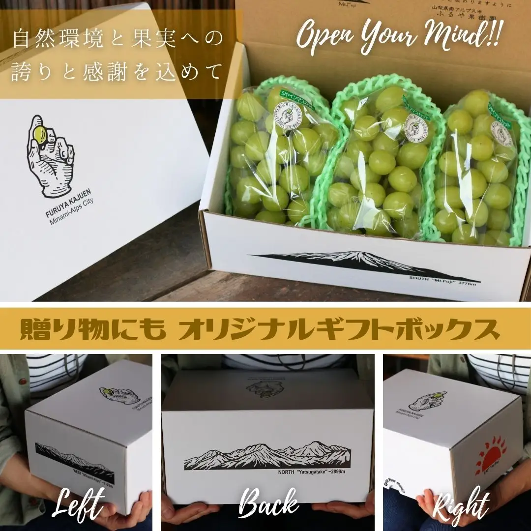 【令和8年発送・先行予約】南アルプス市産シャインマスカット(3房・約1.8kg)真心で育てる大地の宝石！ ALPDX003