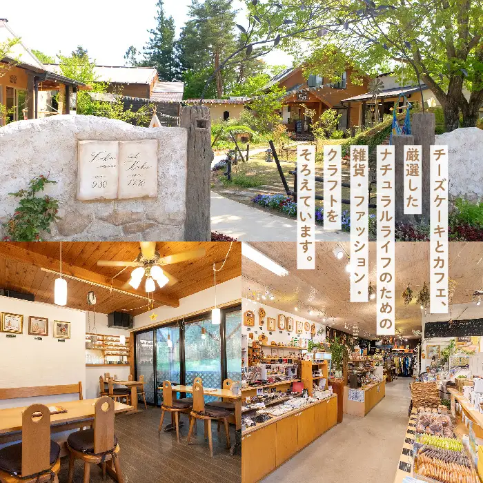 チーズケーキ専門店の『チーズクリームシュー』6個入り スイーツ シュークリーム【チーズケーキ工房風花】