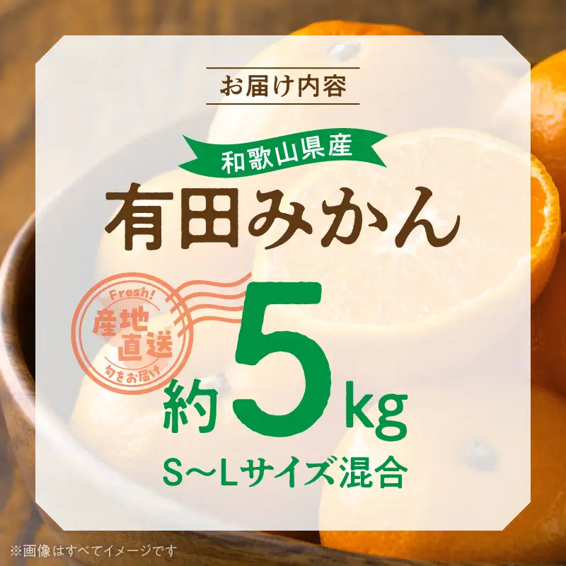 【2026年先行予約】産地直送　和歌山県産 有田みかん 5kg_BL6500