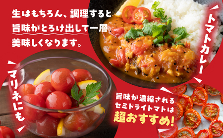ふるなび限定 グランプリ受賞 完熟 出汁推し実 ミニトマト 1.6kg
