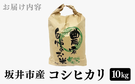 【令和6年産・新米】 福井県 坂井市産米 コシヒカリ 10kg (白米) 【お米 米 こめ コメ こしひかり 白米 10キロ 精米 ブランド米 ふるさと納税米 産地直送】 [A-3293]