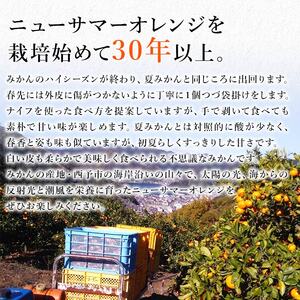 愛媛県西予市産「ニューサマーオレンジ」家庭用 約4kg MMN0012