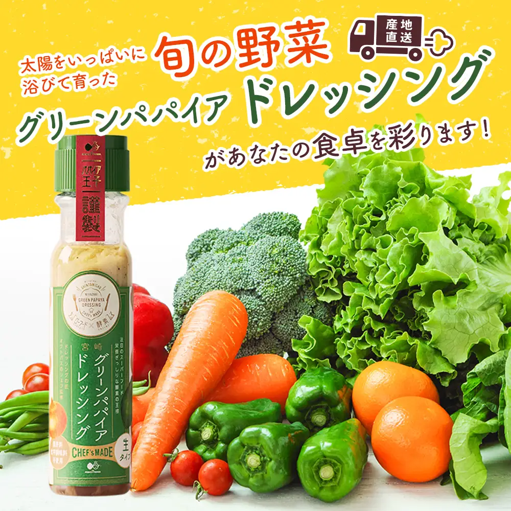 野菜 産地直送！旬の野菜（5～8種類）・ドレッシング  B643-2608