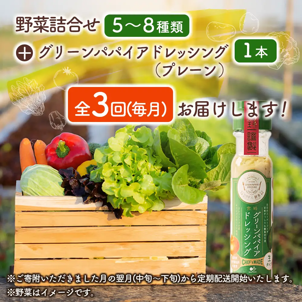 産地直送！旬の野菜（5～8種類）＆ドレッシング セット 3か月定期便 おまかせ 詰合せ 宮崎県新富町産 ※7・8月配送なし E213-2608
