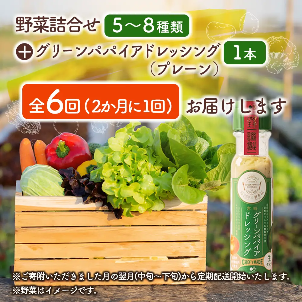 産地直送！旬の野菜（5～8種類）＆ドレッシング セット 全6回 隔月定期便 2か月に1回お届け おまかせ 詰合せ 宮崎県新富町産 E214-2608